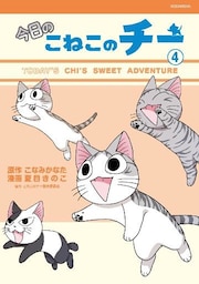 今日のこねこのチー（４）