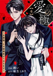 comic Berry’s愛の極～旦那様、その結婚受けて立ちます～6巻