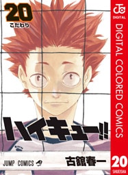 ハイキュー！！ カラー版 20