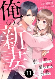 comic Berry’s俺の新妻～御曹司の煽られる独占欲～ 11巻