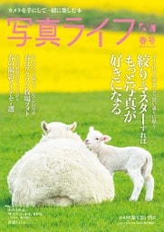 写真ライフ 2026年4月号春