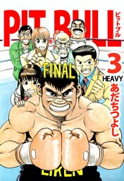 ＰＩＴ　ＢＵＬＬ－闘牛－（３）