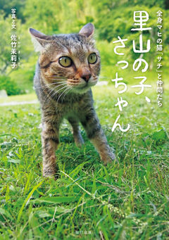 里山の子、さっちゃん