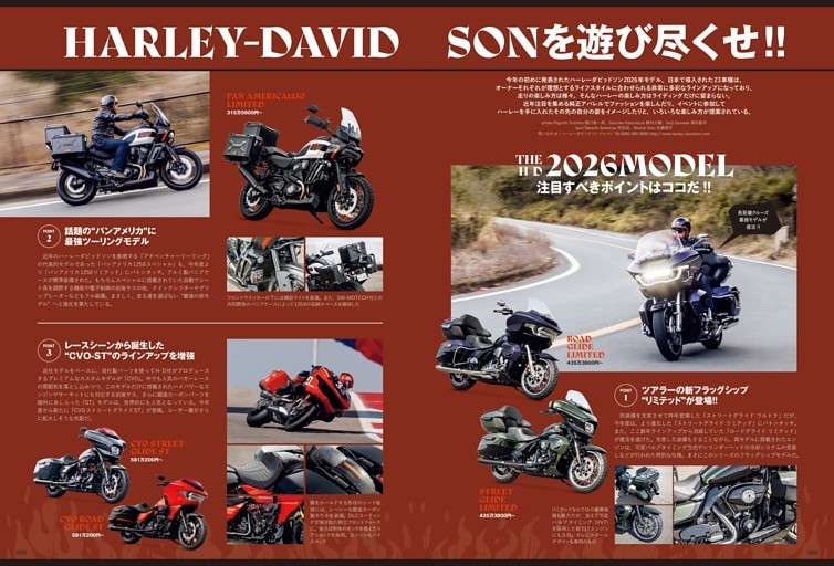 HARLEY-DAVIDSONを遊び尽くせ!! (Lightning) | dマガジン
