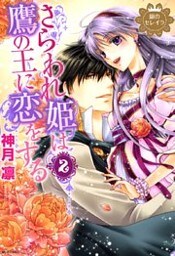 銀のセレイラ 3巻 さらわれ姫は鷹の王に恋をする2