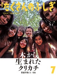 木から生まれたクリカチ（たくさんのふしぎ2026年7月号）