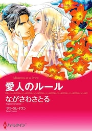 愛人のルール【分冊】 12巻