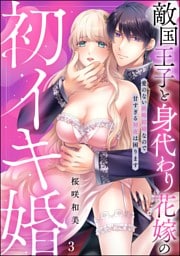 敵国王子と身代わり花嫁の初イキ婚 愛のない政略結婚なので甘すぎる初夜は困ります（分冊版）　【第3話】