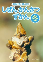 見わける！　調べる！　しぜんかんさつずかん　冬