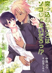 突っ込むところはソコじゃないだろっ！？　～ＢＬ探偵　斑鳩桔梗～