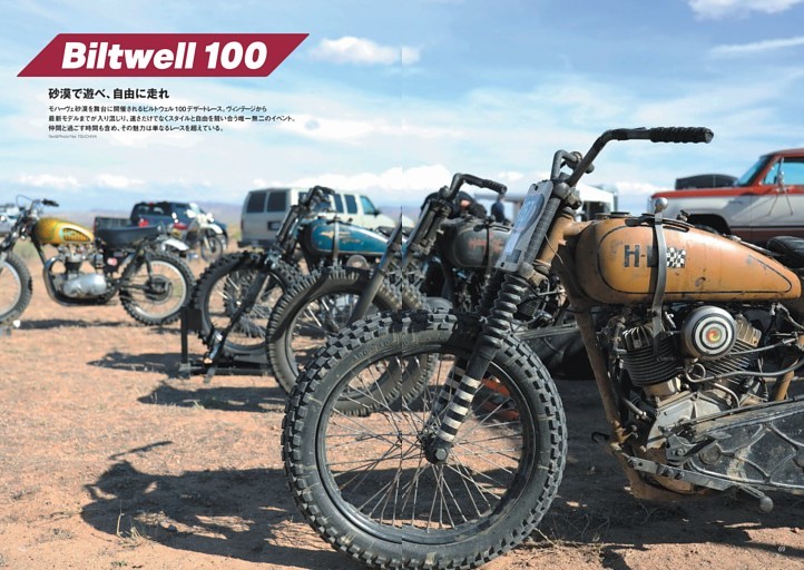 ビルトウェル 100