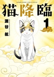 猫降臨（１）