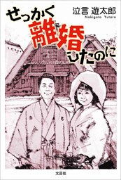 せっかく離婚したのに