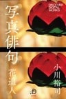 写真俳句 花追人