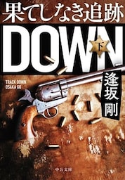 果てしなき追跡（下）