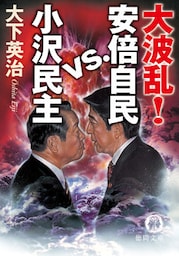 大波乱！　安倍自民VS小沢民主