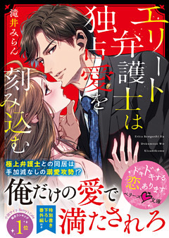 エリート弁護士は独占愛を刻み込む