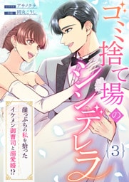 ゴミ捨て場のシンデレラ ～崖っぷちの私を拾ったイケメン御曹司と溺愛婚！？～（3）