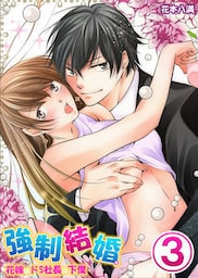 強制結婚。花嫁はドＳ社長の下僕 3