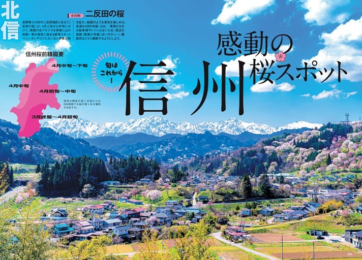 今からが旬！ 信州 感動桜スポット