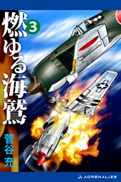 燃ゆる海鷲（３）