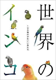 世界のインコ