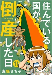住んでいる国が倒産した日（分冊版）　【第11話】