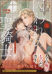【単話版】囚われの聖騎士（11）