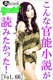 こんな官能小説が読みたかった！vol.66