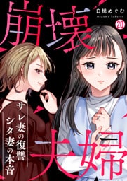 崩壊夫婦～サレ妻の復讐・シタ妻の本音(20)