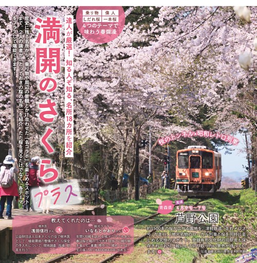 知る人ぞ知る、名所18カ所を紹介 満開のさくらプラス