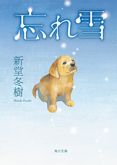 忘れ雪