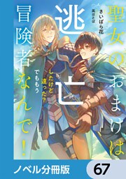 聖女のおまけは逃亡したけど違った？　でももう冒険者なんで！【ノベル分冊版】　67