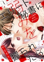 エリート秘書に弱みを握られたら【描き下ろしおまけ付き特装版】