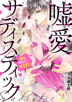 嘘愛サディスティック～罪の数だけ…イけ！