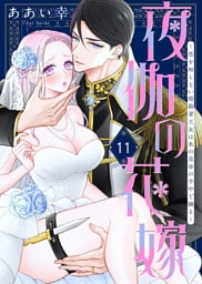 夜伽の花嫁～恋を知らない暗殺者王女は氷の皇帝の手中で踊る～（11）