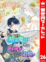 精霊魔法が使えない無能だと婚約破棄されたので、義妹の奴隷になるより追放を選びました 26