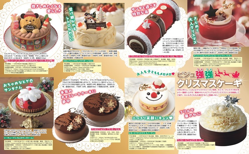 ビジュ強強クリスマスケーキ