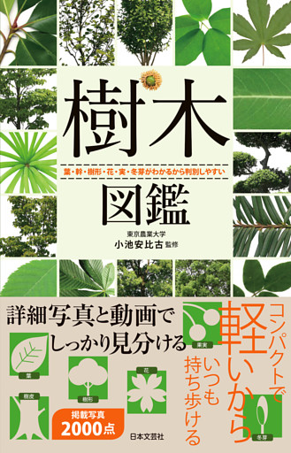 樹木図鑑