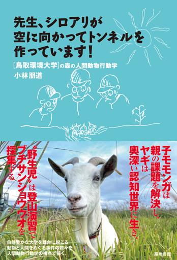先生、シロアリが空に向かってトンネルを作っています！