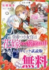 皇帝つき女官は花嫁として望まれ中 ノベル＆コミック試読版