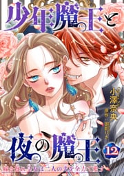 少年魔王と夜の魔王 嫁き遅れ皇女は二人の夫を全力で愛す 【短編】12