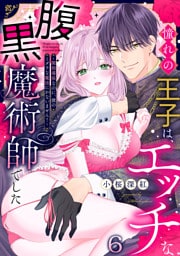 憧れの王子は、エッチな腹黒魔術師でした～閨指導係なのに、彼のミダラな魔法にかないません！～(6)