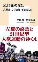 ３．11後の叛乱　反原連・しばき隊・ＳＥＡＬＤｓ
