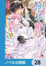 夜会で『適当に』ハンカチを渡しただけなのに、騎士様から婚約を迫られています【ノベル分冊版】　28