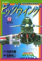ビッグウイング（１２）