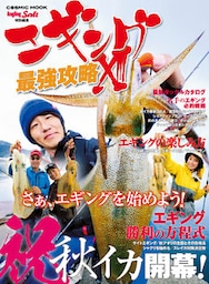 エギング最強攻略 XIII