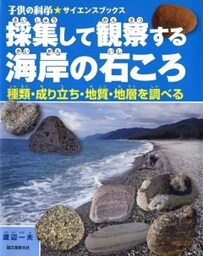 採集して観察する海岸の石ころ種類・成り立ち・地質・地層を調べる