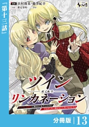 ツインリンカネーション【分冊版】１３