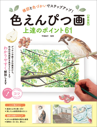 色えんぴつ画　上達のポイント61　新装版　構図と色づかいでステップアップ！